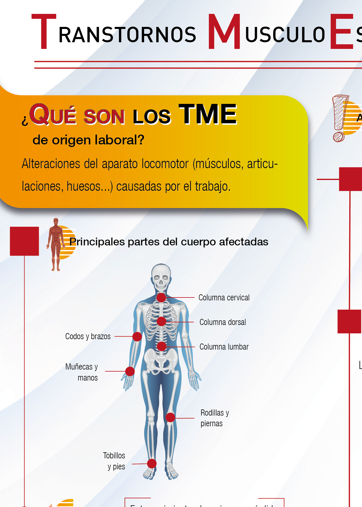 Trastornos Musculoesqueléticos de Origen Laboral